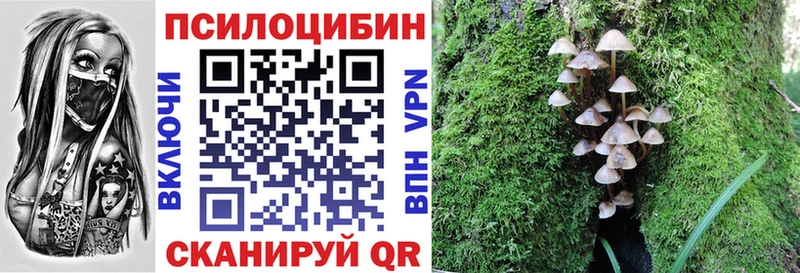 Купить где  Темрюк  Псилоцибиновые грибы GOLDEN TEACHER 